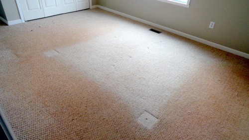 dirty carpet Before & after photos